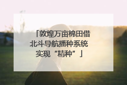 敦煌万亩棉田借北斗导航播种系统实现“精种”